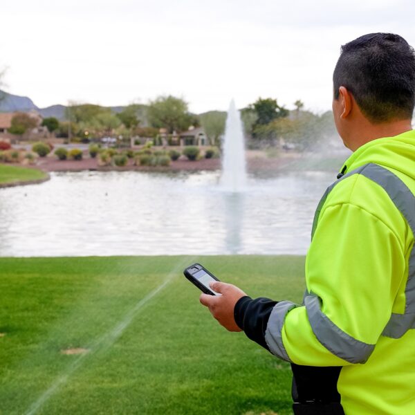 Technician looking at landscape with sprinklers while holding iphone